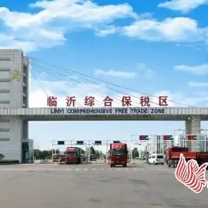 新区六问之三丨临沂综合保税区：“保税+”带来什么？