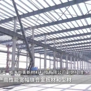南海新区镁合金产业园一期项目“加速跑”
