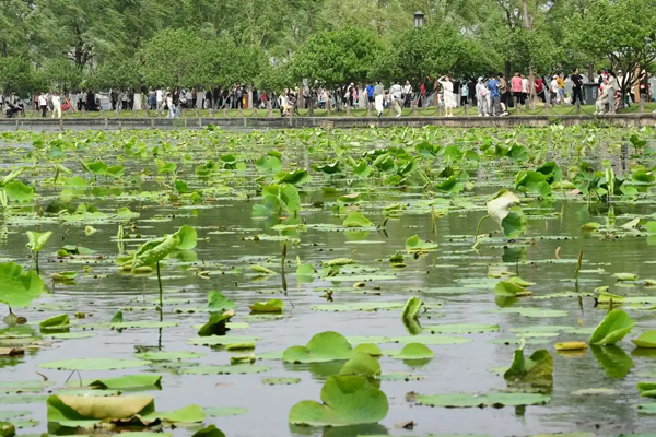 5月4日，杭州西湖景区接待客流量75.08万人次