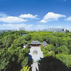 成都“五一”线上消费活跃：网络零售额预计同比增长20.49%