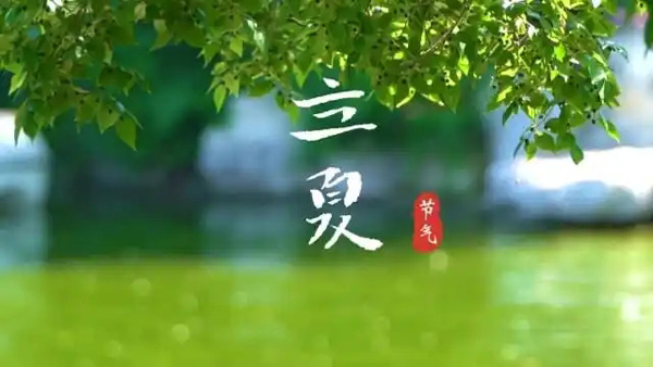 立夏养生丨调养心神，护养阳气