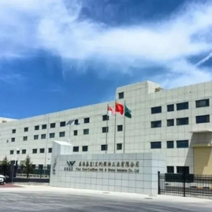 畅联通道 产业赋能出海拓市场——解锁新区一季度外贸亮眼成绩单背后的开放密码