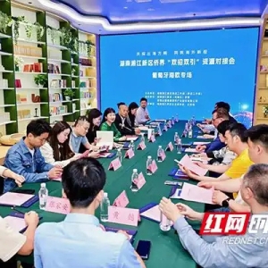 以侨为桥，湘江新区全链条服务赋能企业“出海”