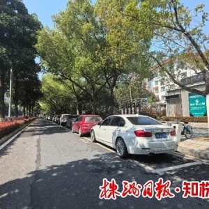 智慧停车& 32;方便你我丨可免费停车、包月停车……路边停车有“隐藏福利”