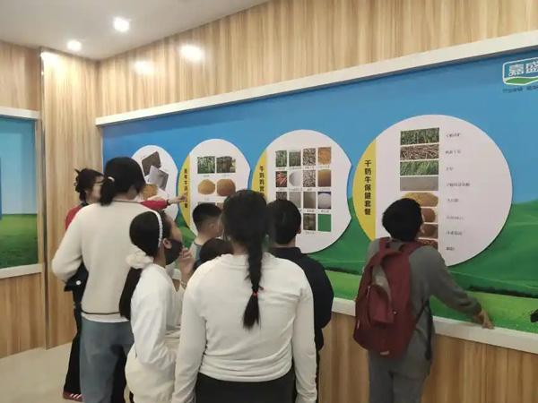 威海市文登区：“文化为墨”构建全龄共享文化阵地