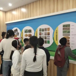 威海市文登区：“文化为墨”构建全龄共享文化阵地