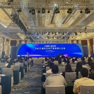 49个项目签约总投资245．2亿元 2025湖北文化产业投资人大会举行