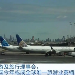 世界旅游及旅行理事会：预计美国今年或成全球唯一旅游业萎缩国家
