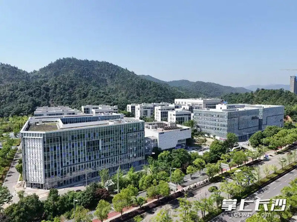 搭建政企沟通“高速通道”，湖南湘江新区药品审评核查中心揭牌
