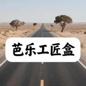 芭乐工匠盒双书：揭秘互联网背后的群体密码
