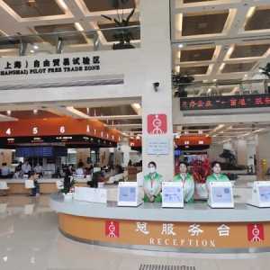 一张“证”的聚变效应：浦东以营商环境之优，促市场主体之兴