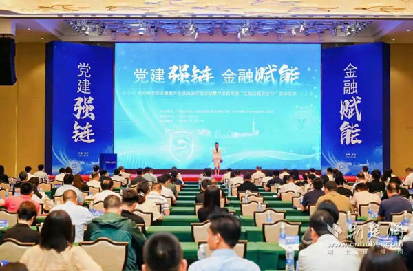 “三链融合”激发动能，武汉大健康产业迈向万亿级新高地