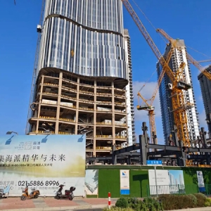 扭转营收增速下滑趋势 上市房企陆家嘴进入转型升级关键期