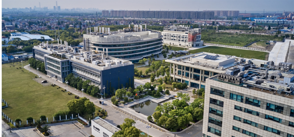 激发区域经济新活力，浦东持续夯实营商基层基础