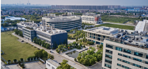 激发区域经济新活力，浦东持续夯实营商基层基础