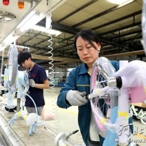 河北：金融服务“沉下去” 特色产业“升起来”