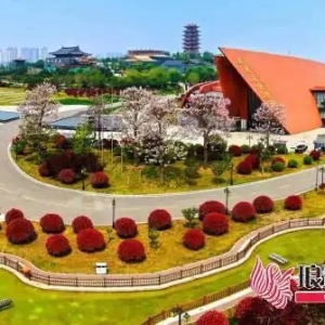 沂河新区：文化“软实力”如何变身发展“硬翅膀”？