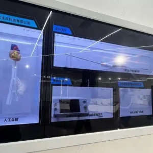 沪苏“飞地经济”合作新模式：以重大项目牵引产业链升级