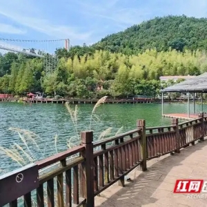优化三地产业定位分工 长株潭一体化发展划出工作重点