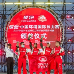 长城汽车，赢了