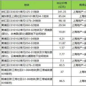 523亿元！全国总价新地王诞生，这家上海“隐秘地主”现身