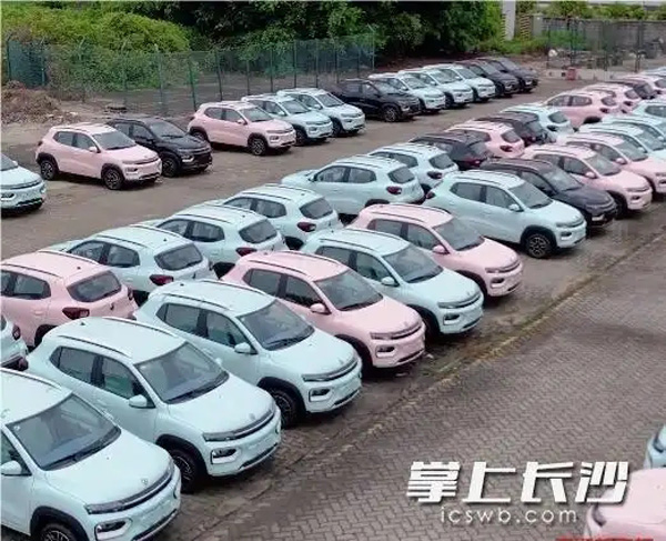 长沙新能源车企深耕非洲市场 携两款产品备战“中非”盛会