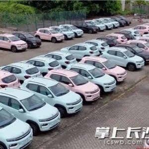 长沙新能源车企深耕非洲市场 携两款产品备战“中非”盛会