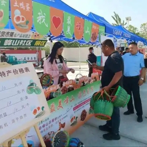 市湖滨新区：农文旅融合擘画乡村振兴新图景