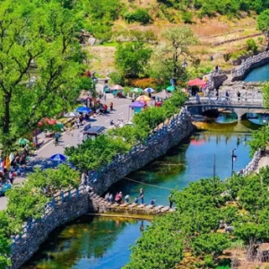 青岛西海岸新区：向新而行、向美而兴，文旅融合点燃乡村消费新引擎