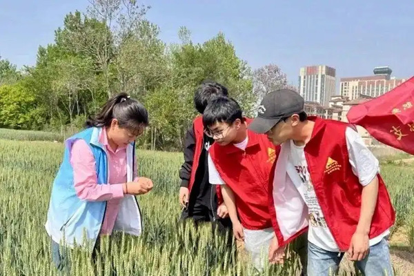 南海新区：幸福“微阵地” 织就民生“大图景”