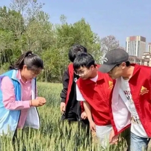 南海新区：幸福“微阵地” 织就民生“大图景”