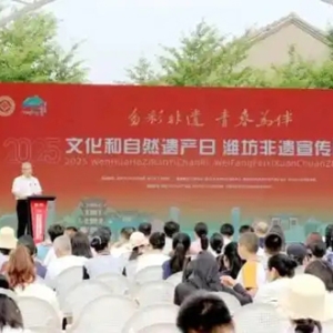2025年“文化和自然遗产日”潍坊非遗宣传展示活动举行