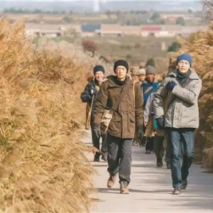 热播剧《护宝寻踪》助推陕西文旅热 观众“入戏”纷至沓来
