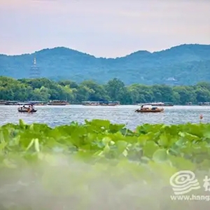西湖这个景点仙气飘飘 水墨仙境引游客打卡