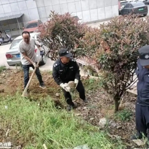 新蒲新区：以民为本 破解民生难题见实效