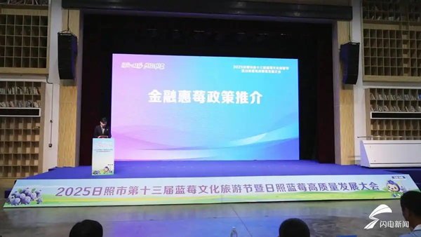 李扬扬：想为日照陈疃蓝莓产业链用户提供更多金融服务