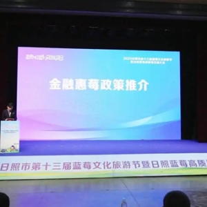 李扬扬：想为日照陈疃蓝莓产业链用户提供更多金融服务