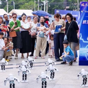 超三百场活动点亮数字生活，浦东持续提升全民数字素养与技能