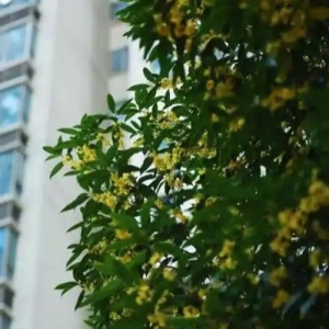 贵阳整治房地产市场“乱收费、乱代办”