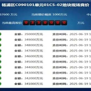郊区地块溢价率超41% 房企密集加码上海土拍市场
