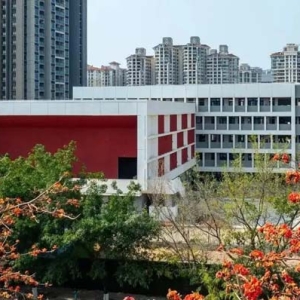 住有优教，广州房企更具生命力的发展砝码？｜育建美好家②