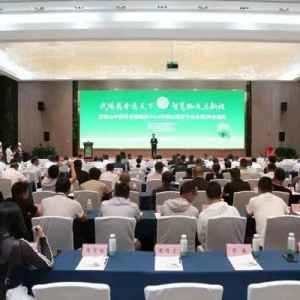 从“一朵花”到百亿级产业 看重庆秀山如何破局中药材产业现代化