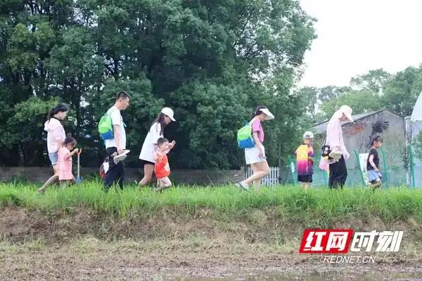 泥田里的成长课：亲子躬耕续写“一粒种子”的四季故事