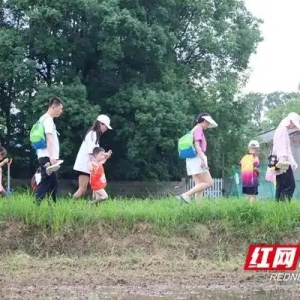 泥田里的成长课：亲子躬耕续写“一粒种子”的四季故事