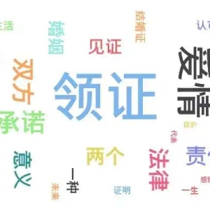 Soul App揭秘Z世代婚姻登记态度，传统与创新碰撞婚恋新火花