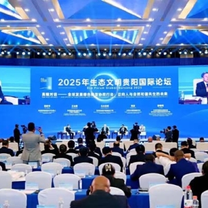 世界绿色设计组织主席王金南：强化绿色设计理念的全球共识｜2025年生态文明贵阳国际论坛