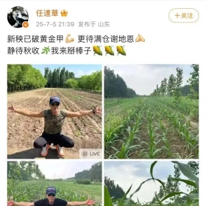任达华在山东老家收完麦子又种玉米被质疑摆拍，你么看？