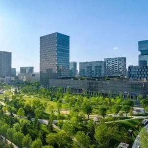政策发布！配套11条“真金白银”激励措施