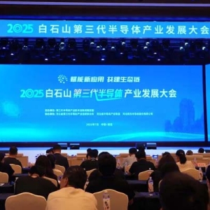 2025白石山第三代半导体产业发展大会举行