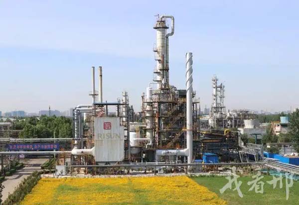 特色产业集群调研行⑨｜襄都区加快推动煤化工产业集群能级跃升